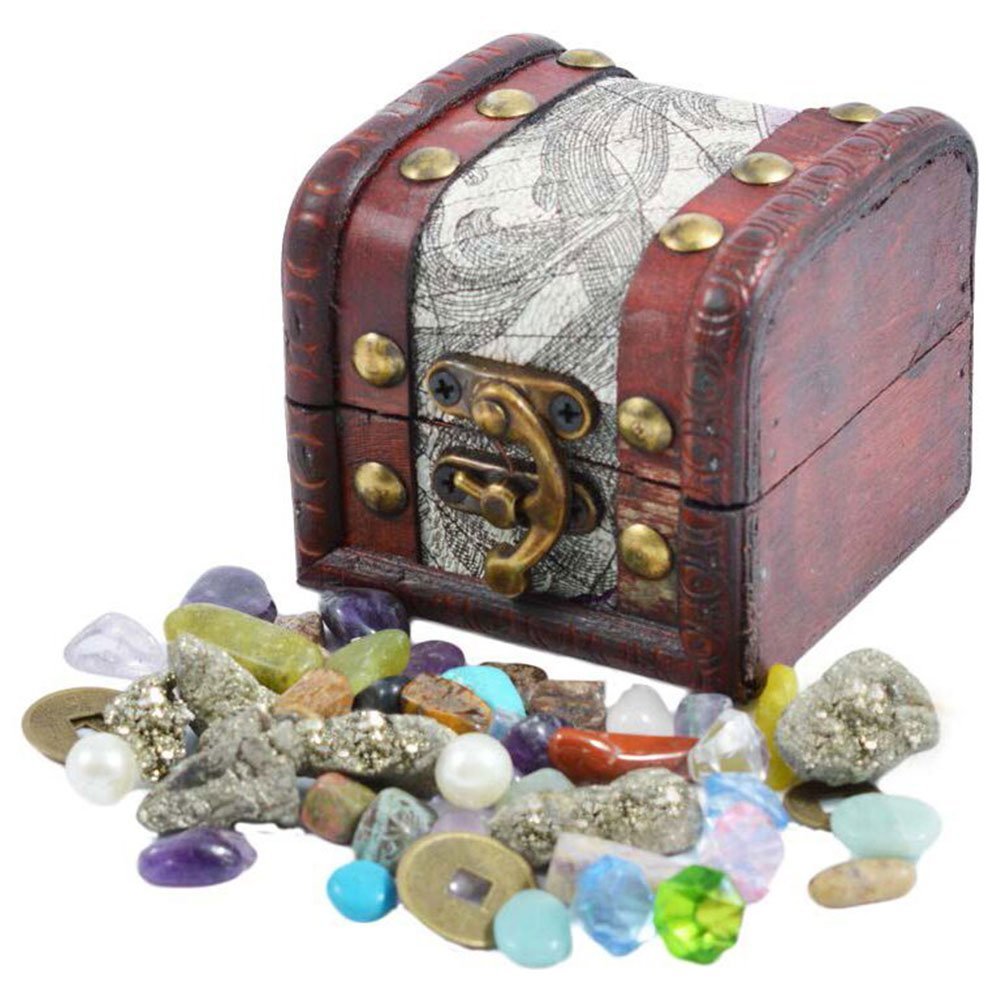 British Fossils Treasure Chest Pack - $26.76