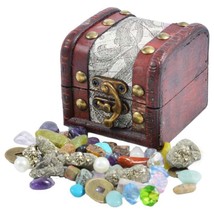 British Fossils Treasure Chest Pack - $26.75