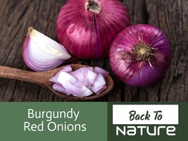 Burgundy Red Onion Seeds Organic Onion Seeds Onion Seeds Onions At Home ... - $55.54 MXN