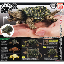 Kame Alligator Snapping Turtle Vol. 03 Action Figure Collection - £29.15 GBP+