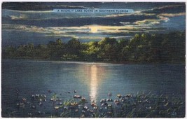 Postcard Moonlit Lake Scene In Southern Florida - £2.36 GBP