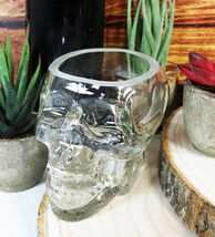 Ebros Skeleton Skull Glass Bowl Drink Stationery Office Holder Figurine ... - €16,85 EUR