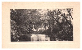 River with trees hanging over the water RPPC Postcard Posted 1909 - £5.83 GBP