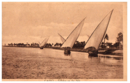 Fellokas On The Nile Cairo Egypt Postcard - £5.30 GBP