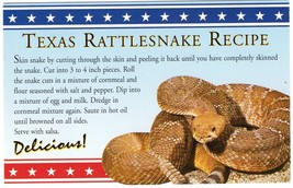 Vintage Unposted Texas Rattlesnake Recipe Postcard - £13.24 GBP