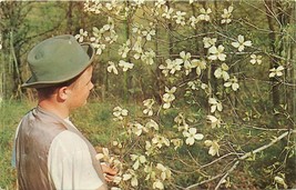 Chrome OH Postcard Da806 Young Man&#39;s Fancy Blooming Dogwood Trees Church Advert - $3.47