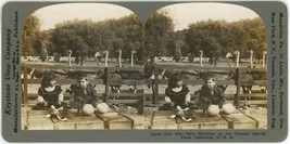 c1900&#39;s Real Photo Stereoview Keystone Little Kids Watching Baby Ostriches - £12.44 GBP