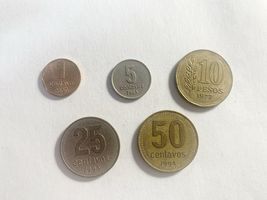 Argentina Coin Lot 1 5 25 50 Centavos 10 Pesos Mixed Years Collectible Set - $6.90 CAD