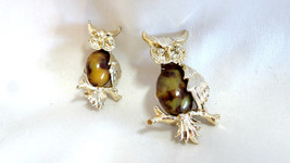 Vintage Gerry&#39;s Jelly Belly Leopard Crystal Rhinestones Owl Bird Lapel Pin - £39.95 GBP