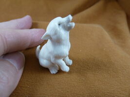 wolf-w64 sitting Wolf pup shed ANTLER figurine Bali detailed carving lov... - €56,25 EUR