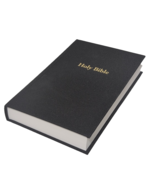 Holy Bible New American Standard Large Print NASB Lockman Foundation 1995 - €31,00 EUR