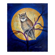 Betsy Drake Owl in Moon Throw - £50.42 GBP