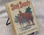 Black Beauty  Autobiography Of Horse Profusely Illustrated Anna Sewell  ... - $27.43