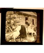 Magic Lantern Glass Slide Laplanders Milking Goats  Norway Keystone 1870s - £23.34 GBP