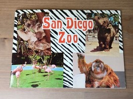 Vtg San Diego Zoo Zoological Souvenir Booklet Color Photos 1967 Curt Teich Usa - £19.77 GBP