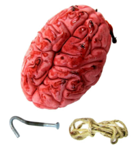 Life Size Fake Zombie Bloody Brain Butcher Tray Human Organ Halloween Horror Prop - £6.83 GBP