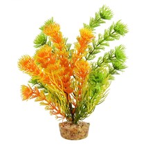 Cabomba - Orange - 6&quot; - £8.63 GBP