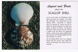 Nature Postcard Legend &amp; Facts About Scallop Shell - £2.32 GBP