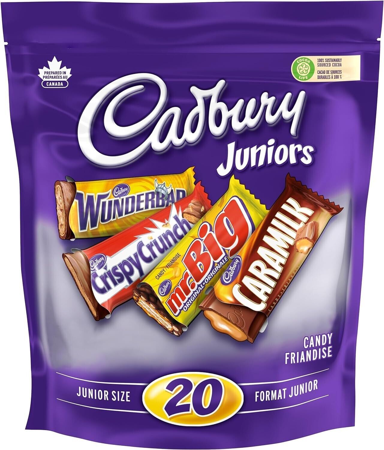 Cadbury Assorted Chocolatey Candy Bars (20 Mini Bars), Caramilk, Mr. Big, Crisp - $16.82