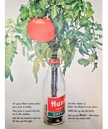 Hunts Tomato Catsup Plant bottle Tomato-1963 Vintage Print Ad - $9.74