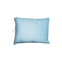 North Carolina Tar Heels Bubble Team Wordmark Plush Pillows Blue 20x26&quot; Lot of 2 - £54.44 GBP