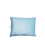 North Carolina Tar Heels Bubble Team Wordmark Plush Pillows Blue 20x26&quot; ... - £54.51 GBP