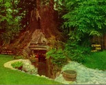Vtg Chrome Postcard 1956 Redcrest California CA Eternal Tree House Sempe... - $3.71