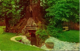 Vtg Chrome Postcard 1956 Redcrest California CA Eternal Tree House Sempervirens - £3.12 GBP