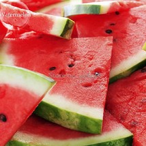 Giant Baby Sweet Juicy Watermelon 20 Seeds Fruit Garden Beautiful - £4.92 GBP