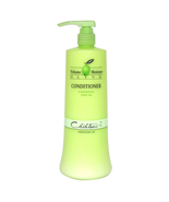 Chihtsai Volume Moisture Olive - Conditioner - $32.82 CAD+