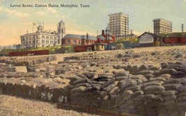 Cotton Bales on Levee Memphis Tennessee 1910c postcard - £5.93 GBP