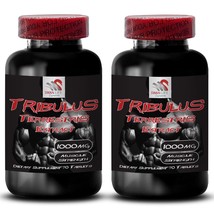 Daily Recharge - Tribulus Terrestris Extract - Body Performance 2 Bottle 180 Tab - $34.16