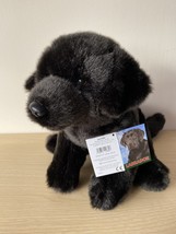 Black Labrador 12" toy as it is or gift wrapped, personalised tag 3 options - $40.00+