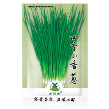 1500 pcs Heirloom Onion Chives Seeds | Common Chives Non-GMO Fresh Herb Garden S - £3.98 GBP