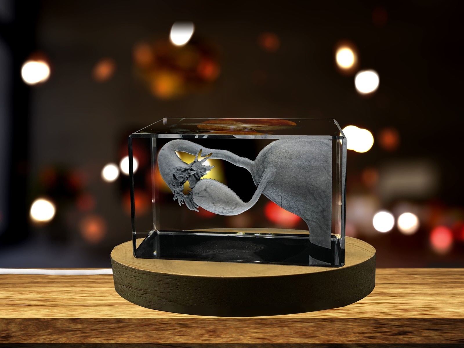 LED Base included | Fallopian-Tubes| 3D-Engraved-Crystal-Keepsake | Gift/Decor