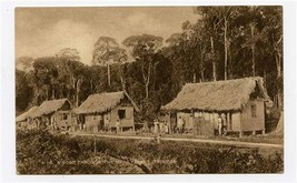 Road Through the Mora Forests Postcard Trinidad  - £14.21 GBP