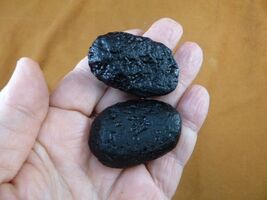 (x-350) set of 2 large Tektites TEKTITE from Impact 700,000 years ago sp... - $13.99