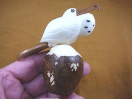 (TNE-BIR-FR-4) Frigate Man of war pirate bird TAGUA NUT figurine carving... - $28.04