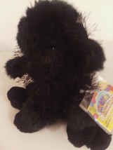 Webkinz WEX005 Extravaganza Pet  Black Poodle 8&quot; Mint With All Tags - £15.97 GBP