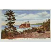 Color Post Card ABBEY ISLAND Washington Armed Forces 1940s? Vintage Trees - £3.90 GBP
