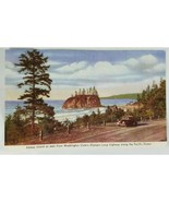 Color Post Card ABBEY ISLAND Washington Armed Forces 1940s? Vintage Trees - £3.73 GBP