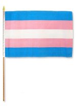 AES 12x18 12&quot;x18&quot; Wholesale lot of 3 Transgender Gay Pride Stick Flag Wood Staff - £11.09 GBP