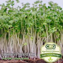 Fresh 27.000 (3Oz) Broccoli Micro Green Seeds Microgreen Seeds Arto - $24.00
