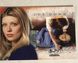 Buffy The Vampire Slayer Trading Card 2004 #89 Amber Benson - $1.97