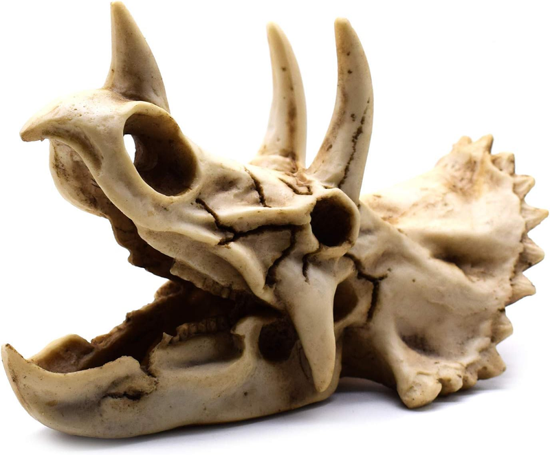 Resin Dinosaur Skeleton Triceratops Imitation Skull Model Home Office Display D Item image 3