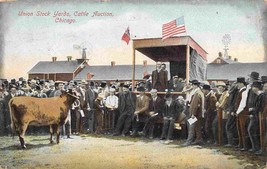 Cattle Auction Union Stock Yards Chicago Illinois 1909 postcard - $7.87
