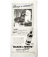 1942 Black &amp; White Scotch 8 Year Advertisement Westie Scottie Terriers E... - €21,47 EUR
