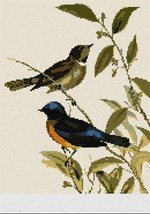 Pepita Needlepoint kit: Rufous-Bellied Niltava, 7&quot; x 9&quot; - $50.00+