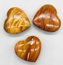 2&quot; Petrified Wood, Red Heart - $27.99