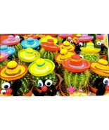 Jigsaw Puzzle CUTE AND FUNNY CACTI 350 Pcs 18.25&quot; x 11&quot; Puzzlebug - CraZArt - $3.92 CAD